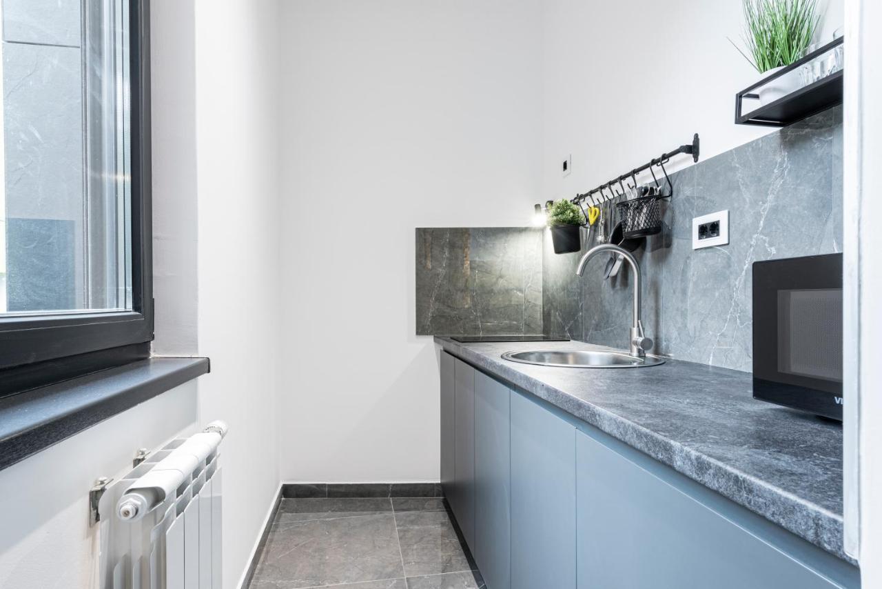 Vertigo Modern Studio-Free Private Parking-Fast Wi-Fi Нови Сад Екстериор снимка
